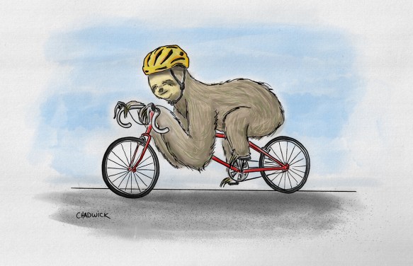 Cycling Sloth